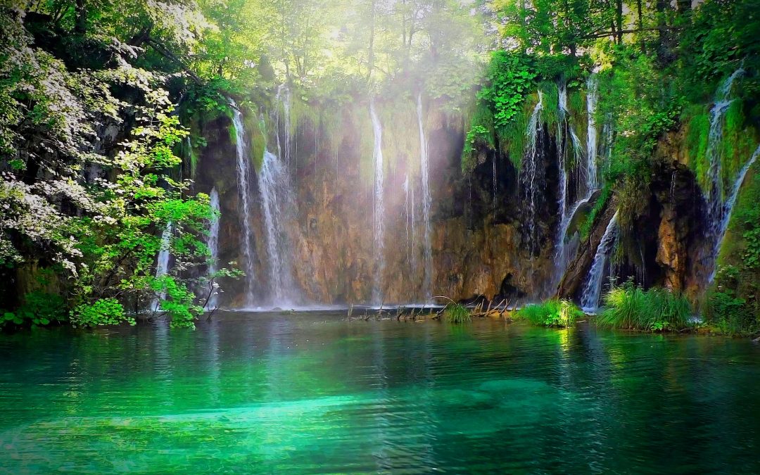 Marketing Digital et Écotourisme : Comment Promouvoir les Destinations Naturelles